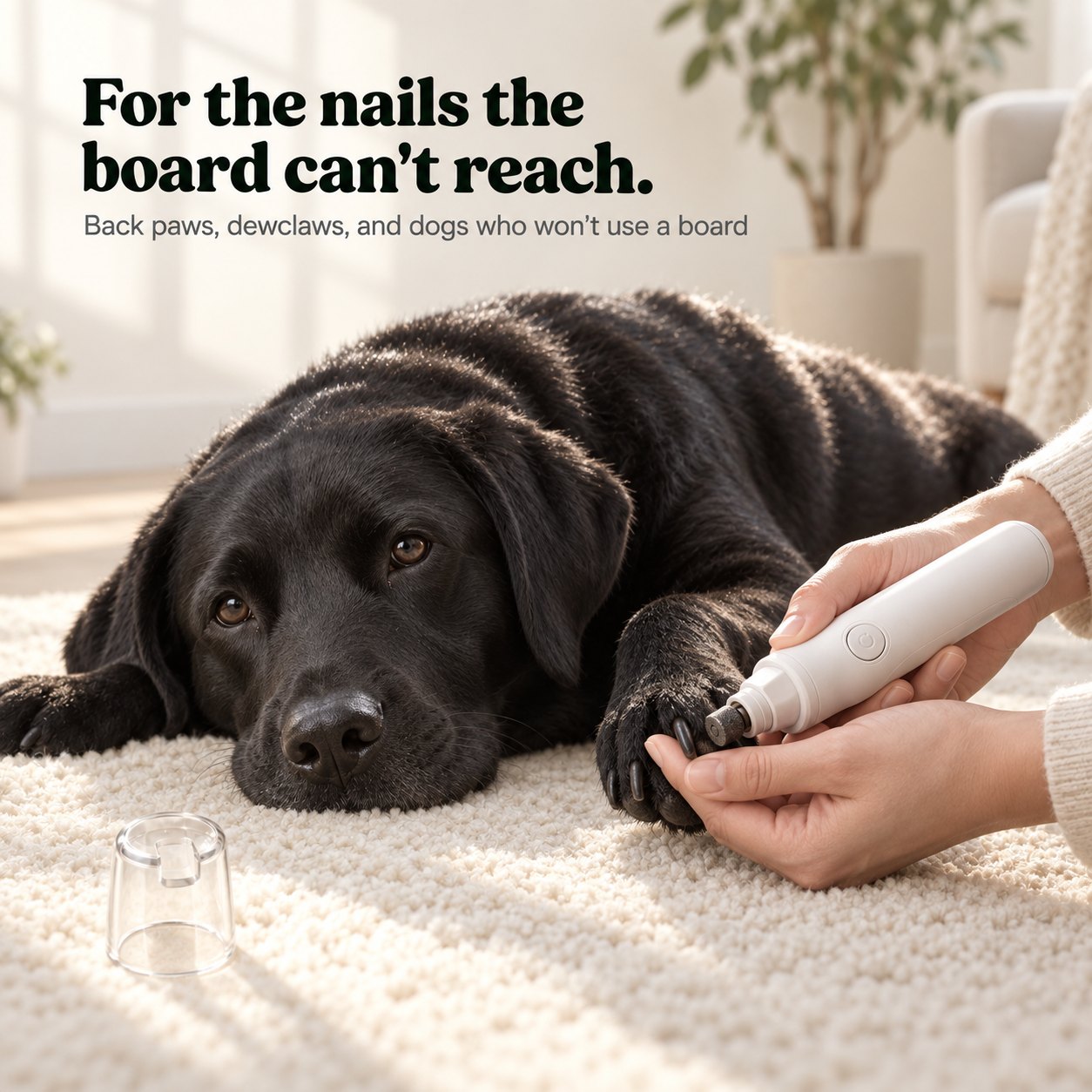 The Nail Grinder